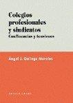 COLEGIOS PROFESIONALES Y SINDICATOS | 9788481513394 | GALLEGO MORALES, ANGEL J.