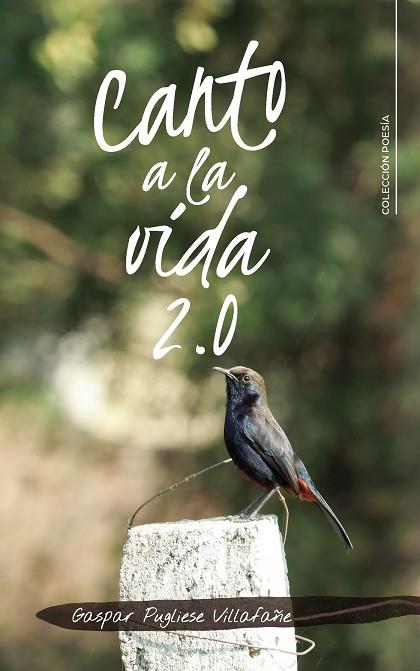 CANTO A LA VIDA 2.0 | 9788418665844 | PUGLIESE VILLAFAÑE, GASPAR