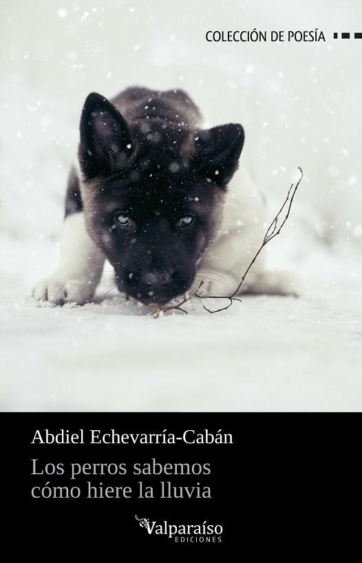 PERROS SABEMOS COMO HIERE LA LLUVIA, LOS | 9788418694271 | ECHEVARRIA-CABAN, ABDIEL