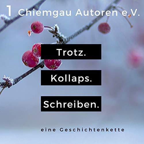 TROTZ. KOLLAPS. SCHREIBEN. | 9783750411845