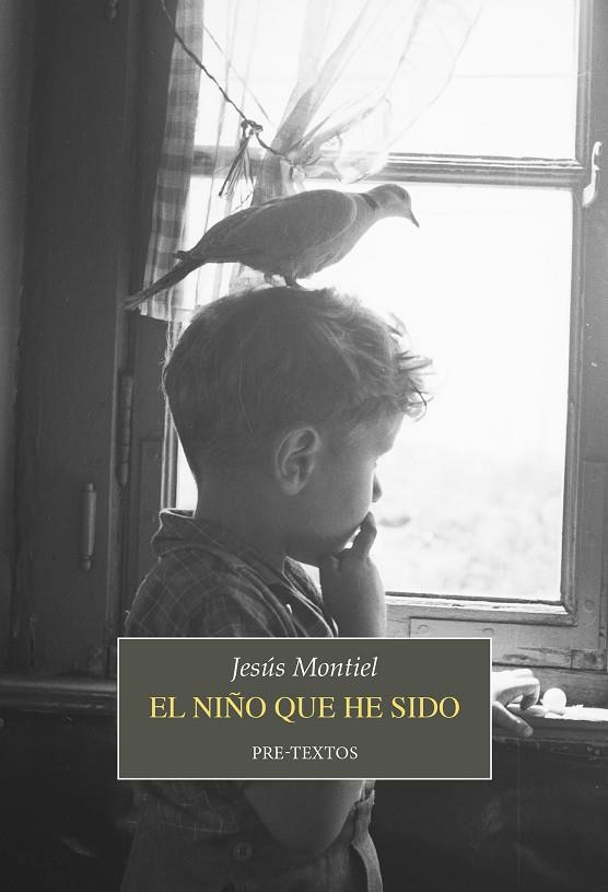 NIÑO QUE HE SIDO, EL | 9788419633835 | MONTIEL, JESÚS