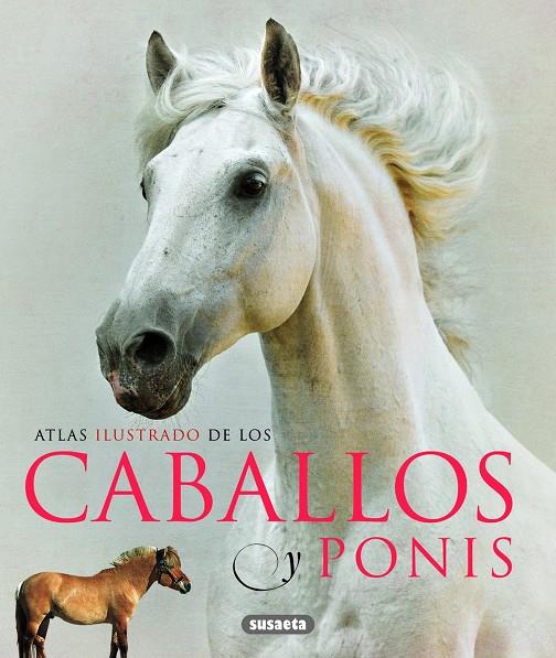 ATLAS ILUSTRADO DE CABALLOS Y PONIS | 9788467713053 | LABAN, BRIAN