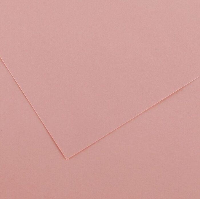 CARTOLINA GUARRO 185G 50X65 ROSA | 3148950402257