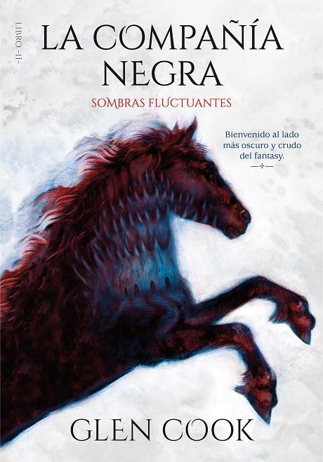 SOMBRAS FLUCTUANTES | 9788417671587 | COOK, GLEN