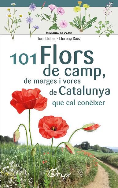 101 FLORS DE CAMP, DE MARGES I VORES DE CATALUNYA | 9788490348413 | LLOBET FRANÇOIS, TONI / SÀEZ GOÑALONS , LLORENÇ