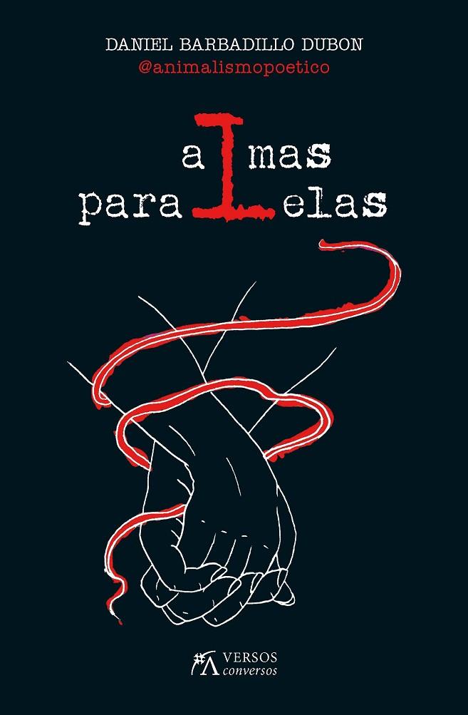 ALMAS PARALELAS | 9788417828103 | BARBADILLO DUBON, DANIEL