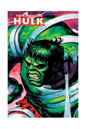 RAMPAGING HULK, THE (MARVEL LIMITED EDITION) | 9788415830436 | MOENCH, DOUG