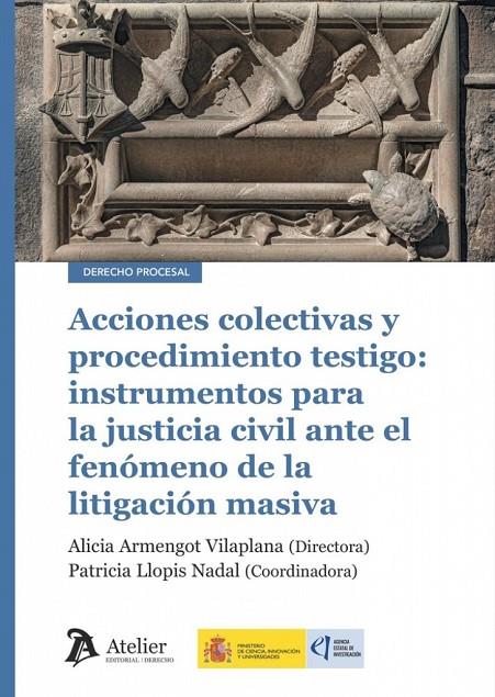 ACCIONES COLECTIVAS Y PROCEDIMIENTO TESTIGO | 9791388250507 | ARMENGOT VILAPLANA, ALICIA / LLOPIS, PATRICIA