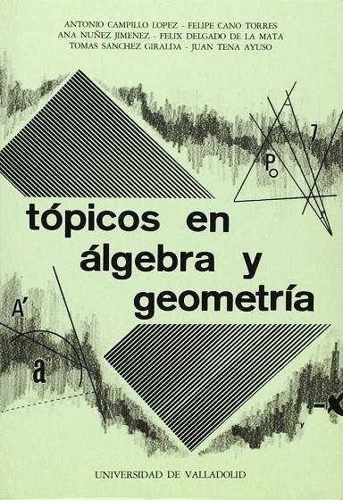 TOPICOS EN ALGEBRA Y GEOMETRIA | 9788486192402 | TENA AYUSO, JUAN GABRIEL