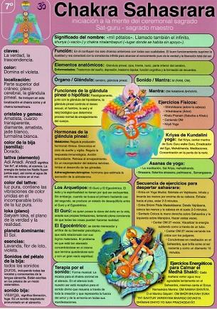 LÁMINAS DIDÁCTICAS - CHAKRA SAHASRARA | 8436005169992