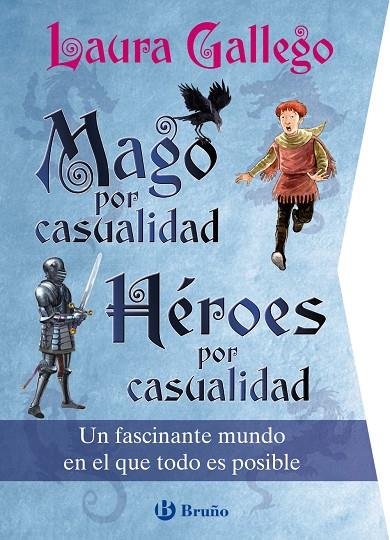 MAGO POR CASUALIDAD / HÉROES POR CASUALIDAD | 9788469664193 | GALLEGO, LAURA