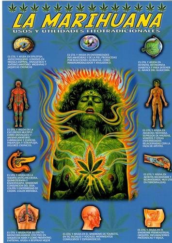 LÁMINAS DIDÁCTICAS - LA MARIHUANA | 8436005164485