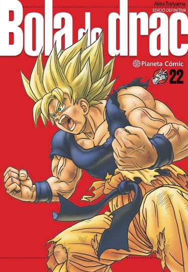 BOLA DE DRAC 22 | 9788413419046 | TORIYAMA, AKIRA