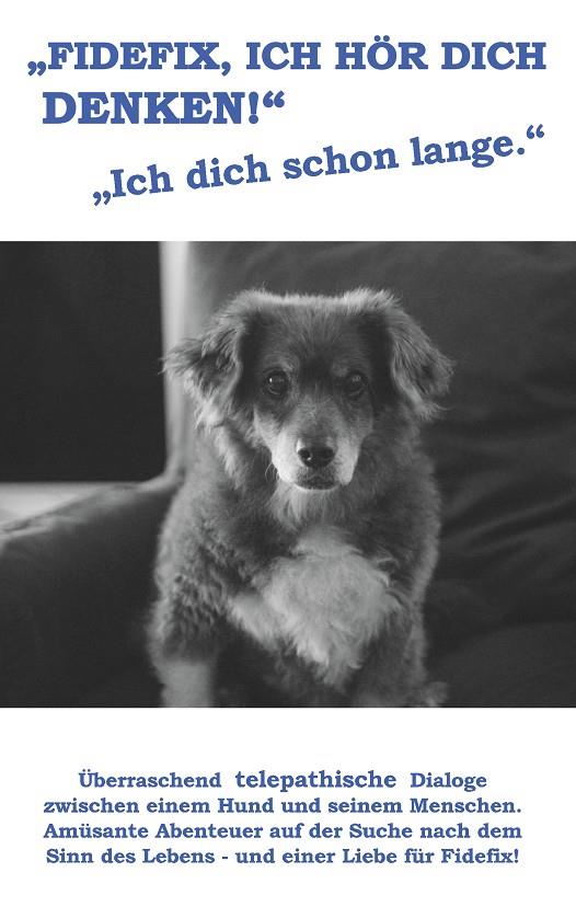 FIDEFIX, ICH HÖR DICH DENKEN | 9783743138469 | KOCH, KNUT