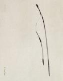 NEEDLES | 9788410290044 | YESTE, TXEMA