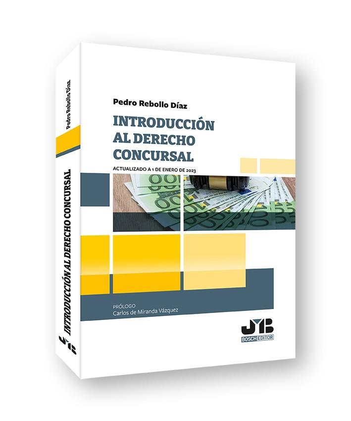 INTRODUCCIÓN AL DERECHO CONCURSAL | 9788419580146 | REBOLLO DÍAZ, PEDRO