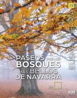 EUSKAL HERRIA. PASEOS POR LOS BOSQUES MÁS BELLOS DE NAVARRA | 9788482169576 | VIGOR, IÑAKI