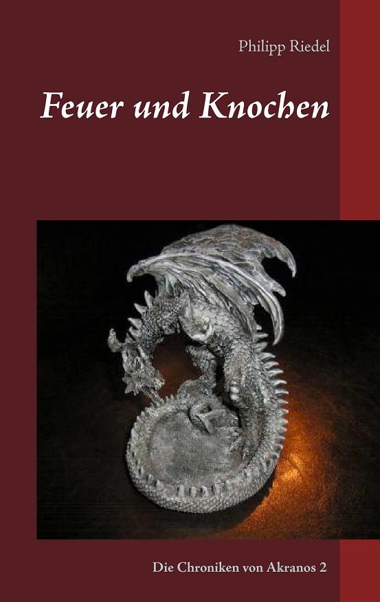 FEUER UND KNOCHEN | 9783738652154 | RIEDEL, PHILIPP