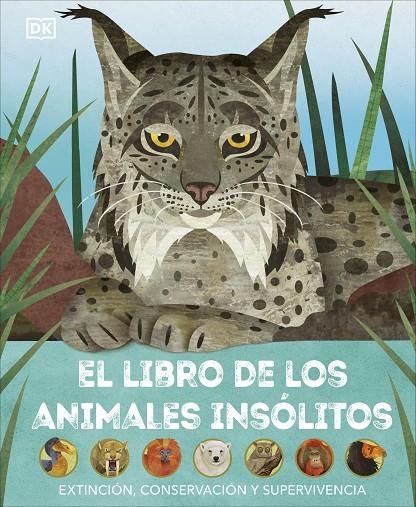 LIBRO DE LOS ANIMALES INSÓLITOS, EL | 9780241637692 | DK