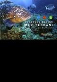 RECURSOS MARINS DEL MEDITERRANI. FAUNA I FLORA DEL MAR CATALÀ | 9788439377443 | LLORIS, DOMÈNEC / MESEGUER I BALLESTER, SERGI