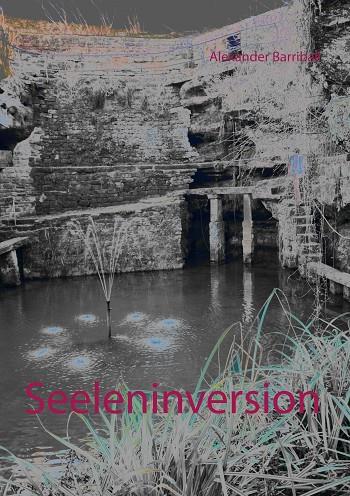 SEELENINVERSION | 9783752832181 | BARRIBALL, ALEXANDER