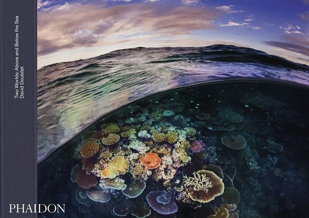 TWO WORLDS : ABOVE AND BELOW THE SEA | 9781838663186