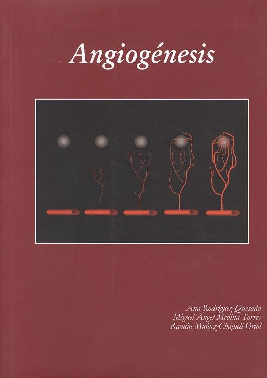 ANGIOGÉNESIS | 9788497470353 | RODRÍGUEZ QUESADA, ANA / MEDINA TORRES, MIGUEL ANGEL / MUÑOZ-CHÁPULI ORIOL, RAMÓN