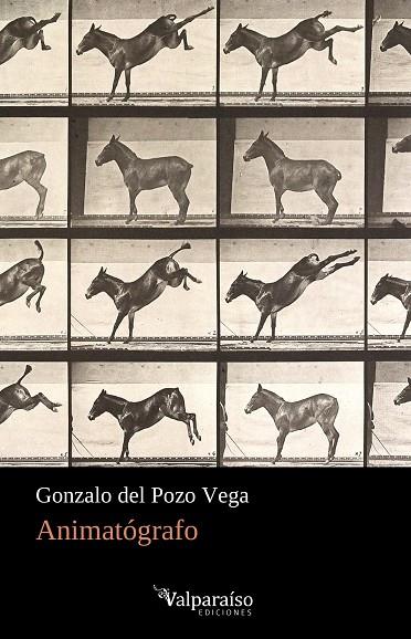 ANIMATÓGRAFO | 9788418082399 | DEL POZO VEGA, GONZALO