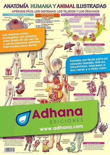 LÁMINA DIDÁCTICA ANATOMÍA HUMANA Y ANIMAL ILUSTRADA | 8436005169701