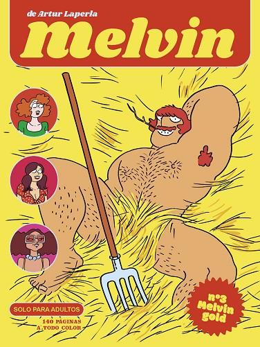 MELVIN 03 : MELVIN GOLD | 9788418101502 | LAPERLA, ARTUR