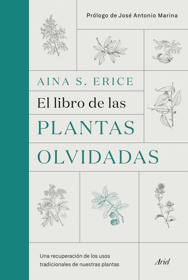 LIBRO DE LAS PLANTAS OLVIDADAS | 9788434431461 | S. ERICE, AINA