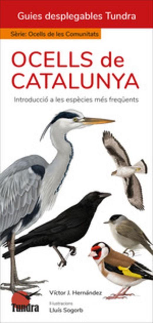 OCELLS DE CATALUNYA | 9788419624864 | HERNANDEZ, VICTOR J.