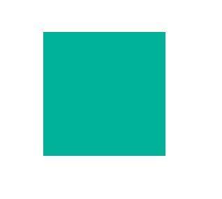 CARTOLINA GUARRO 185G 50X65 VERD MENTA | 3148950120007