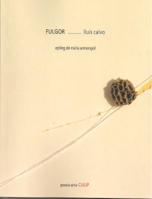 FULGOR | 9788481289862 | CALVO, LLUÍS