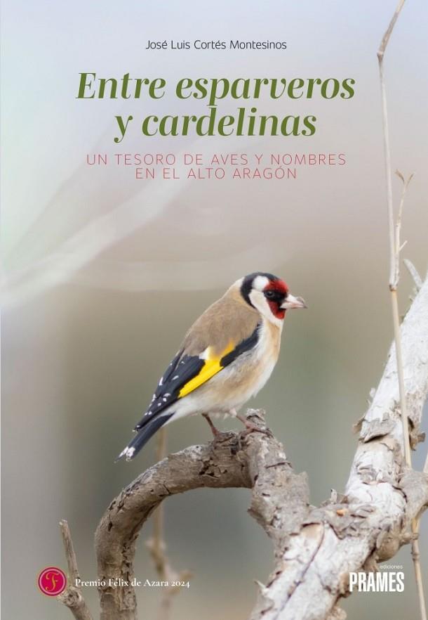 ENTRE ESPARVEROS Y CARDELINAS | 9788483216354 | CORTÉS MONTESINOS, JOSÉ LUIS