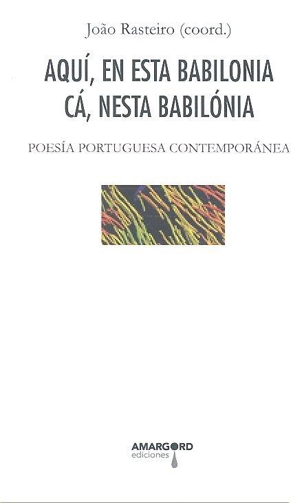 AQUI EN ESTA BABILONIA CA NESTA BABILONIA | 9788494941139 | RASTEIRO, JOAÑO
