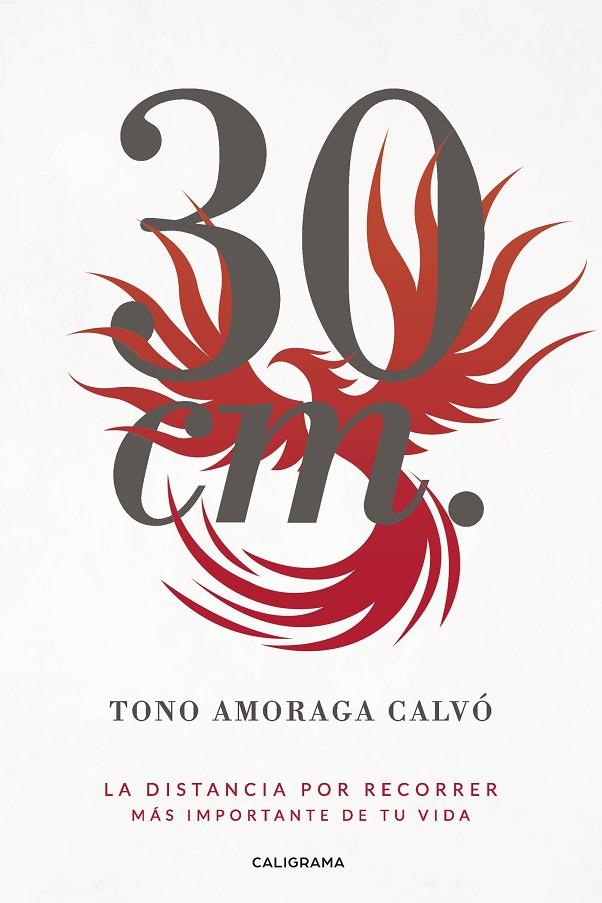 30 CM | 9788417321406 | AMORAGA CALVÓ, TONO