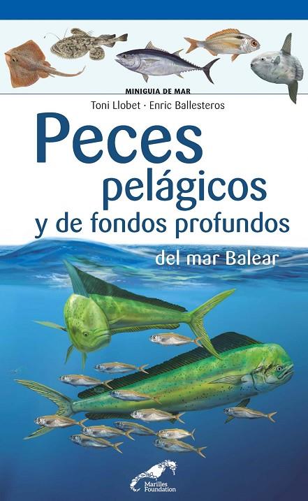 PECES PELÁGICOS Y DE FONDOS PROFUNDOS DEL MAR BALEAR | 9788490349571 | BALLESTEROS SAGARRA, ENRIC / LLOBET FRANÇOIS, TONI