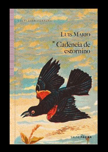 CADENCIA DE ESTORNINO | 9788417893620 | MARIO, LUIS