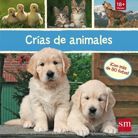 CRÍAS DE ANIMALES | 9788467574357 | VARIOS AUTORES,