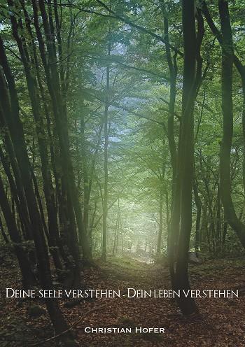 DEINE SEELE VERSTEHEN - DEIN LEBEN VERSTEHEN | 9783738655346 | HOFER, CHRISTIAN