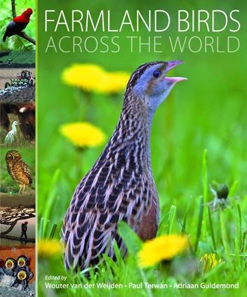 FARMLAND BIRDS ACROSS DE WORLD | 9788496553637 | VAN DER WEIJDEN, WOUTER / TERWAN, PAUL / GULDEMOND, ADRIAAN