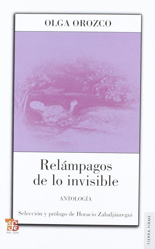 RELÁMPAGOS DE LO INVISIBLE : ANTOLOGÍA | 9789505578108 | OROZCO, OLGA