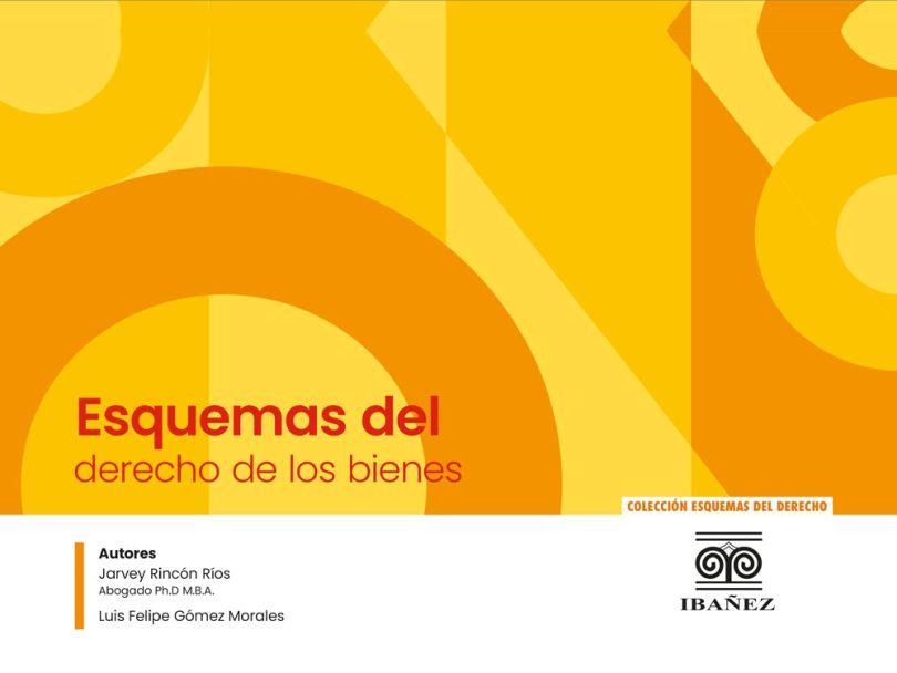 ESQUEMAS DEL DERECHO DE BIENES | 9789587919318 | RINCÓN RÍOS, JARVEY