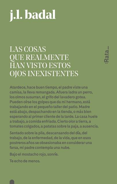 COSAS QUE REALMENTE HAN VISTO ESTOS OJOS INEXISTENTES, LAS | 9788416738151 | BADAL, JOSEP LLUÍS