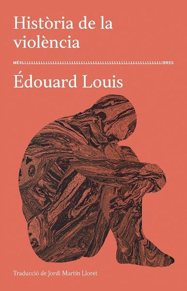 HISTÒRIA DE LA VIOLÈNCIA | 9788417353599 | LOUIS, ÉDOUARD