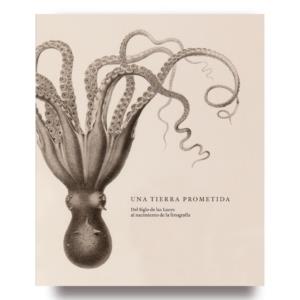 TIERRA PROMETIDA, UNA | 9788480817974