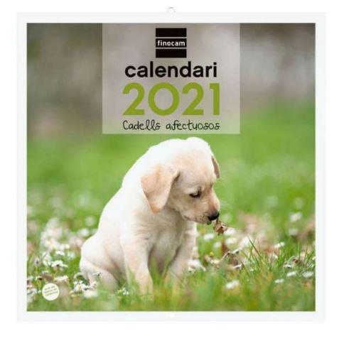 CALENDARI ANUAL PARET 30X30 2021 CADELLS CAT+ | 8422952304586