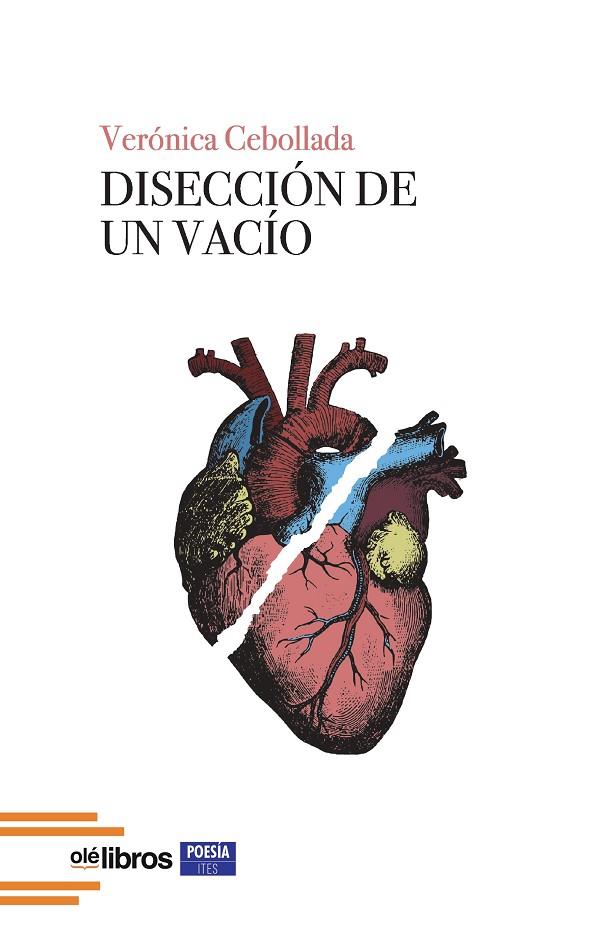 DISECCIÓN DE UN VACÍO | 9791387951276 | CEBOLLADA, VERONICA