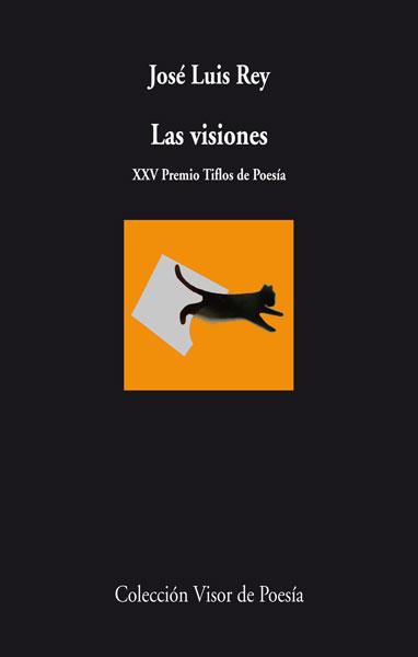 VISIONES, LAS | 9788498958164 | REY, JOSÉ LUIS